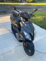 Wolf v50