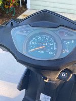 Wolf v50