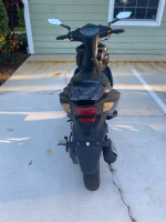 Wolf v50