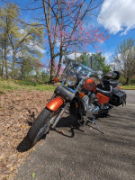 2005 Honda Shadow
