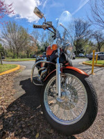 2005 Honda Shadow