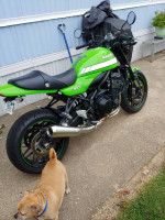 Great starter bike.