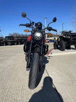 2024 Indian Motorcycle® FTR Indy Red/Black