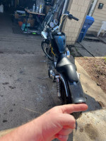 92 1200 harley sportster