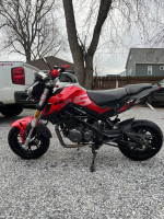 2020 Benelli tnt 135