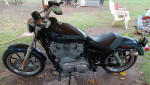2013 Sportster