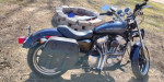 2013 Sportster