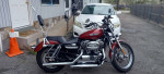 Harley-Davidson sportster custom xl1200c
