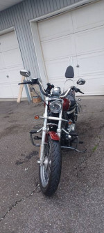 Harley-Davidson sportster custom xl1200c