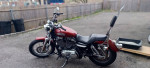 Harley-Davidson sportster custom xl1200c