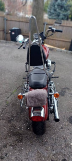 Harley-Davidson sportster custom xl1200c