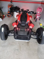 Can am ryker rally 900