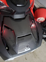Can am ryker rally 900