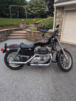 HARLEY DAVIDSON (Sportster)
