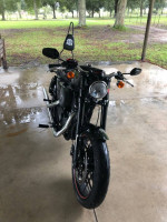 Harley Motorcycle