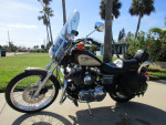 1998 HARLEY DAVIDSON 95TH ANNIVERSARY SPORTSTER 1200 CUSTOM