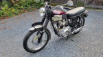 1967 Triumph Bonneville