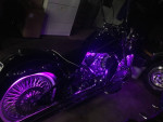 2015 custom heritage soft tail