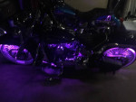 2015 custom heritage soft tail