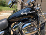 2007 Harley Sportster 1200 custom