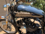 2007 Harley Sportster 1200 custom
