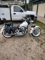 harley