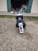 harley