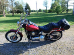 2007 Harley-Davidson Softail Custom