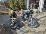Gl 500 plus Yamaha and Suzuki
