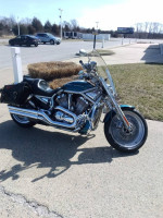 2004 HD VRSCA V-Rod