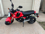 2023 Honda grom