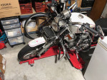 1994 Sportster