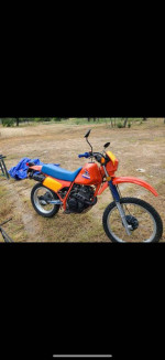 1985 xl250r Honda dirtbike