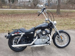 2005 Harley-Davidson Sportster XL883 - Runs Good / Cool Apes !!