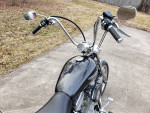 2005 Harley-Davidson Sportster XL883 - Runs Good / Cool Apes !!