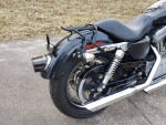 2005 Harley-Davidson Sportster XL883 - Runs Good / Cool Apes !!