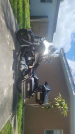 Harley davidson