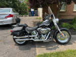 2011 Fatboy Low
