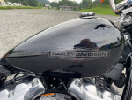 2020 HARLEY DAVIDSON SOFTAIL STANDARD FINANCING AVAILABLE
