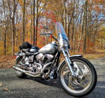 2001 Harley Davidson FXDL