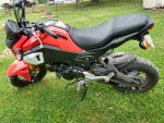 2020 Honda Grom