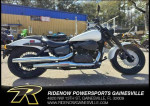 2020 Honda® VT750C2B