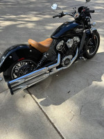2019 Indian Scout