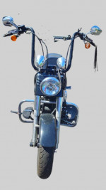 2015 Harley Davidson FLS
