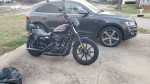 2021 Harley-Davidson Iron 1200