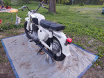 1964 Type II CA77 Honda Dream