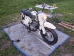 1964 Type II CA77 Honda Dream