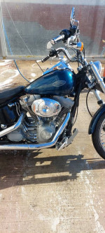 2002 harley davidson softail standard
