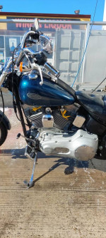 2002 harley davidson softail standard