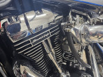 2001 Harley-Davidson FLSTS